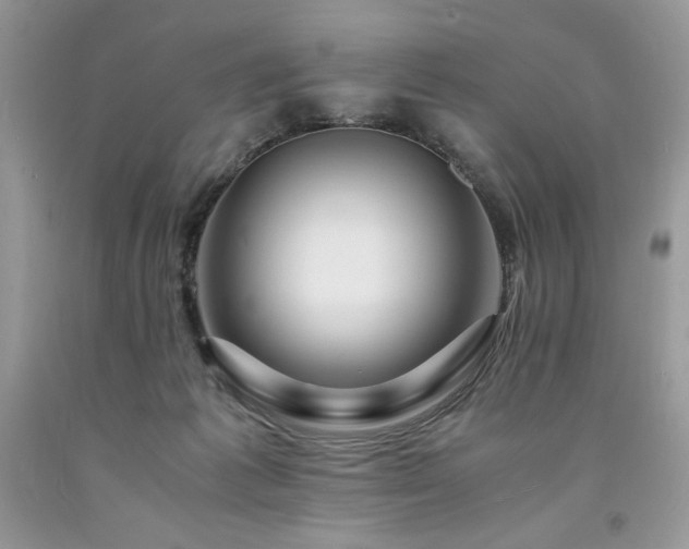 X0000094180221200710261138