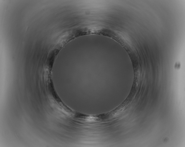 X0000094180222200710261138