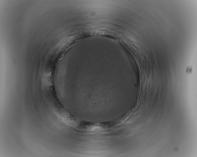 X0000094180224200710261138