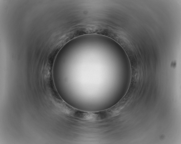 X0000094180226200710261138