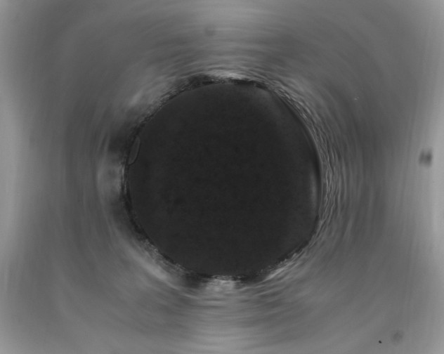 X0000094180227200710261138