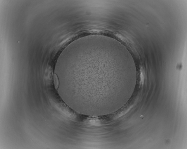 X0000094180228200710261138