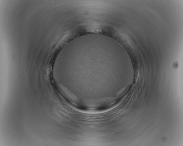 X0000094180229200710261138