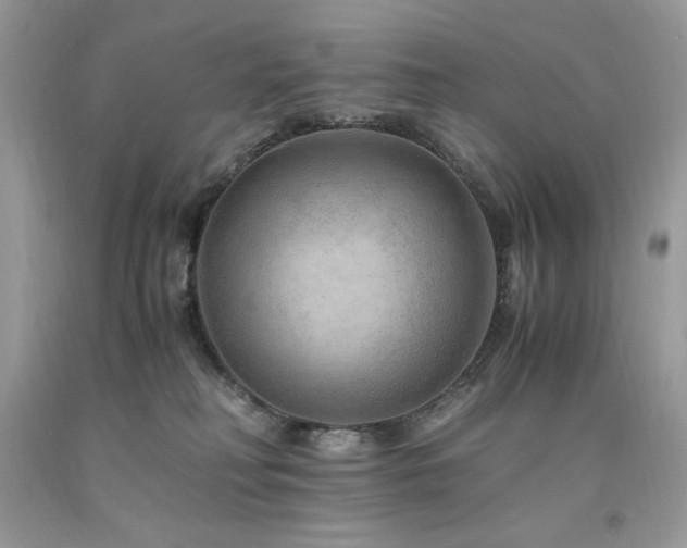 X0000094180230200710261138