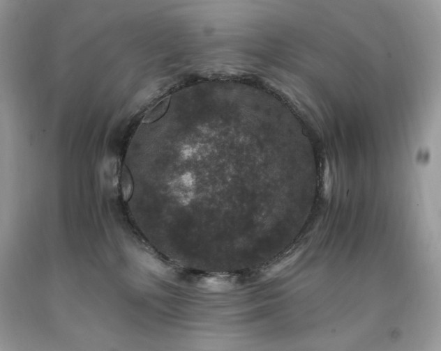 X0000094180232200710261138