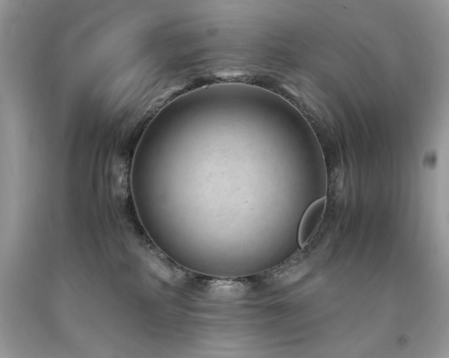 X0000094180234200710261138