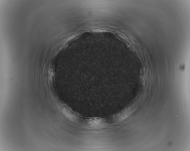 X0000094180235200710261138