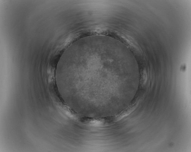 X0000094180236200710261138
