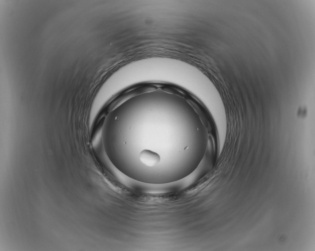 X0000094180239200710261138