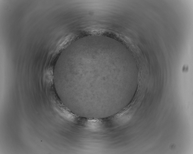 X0000094180240200710261138