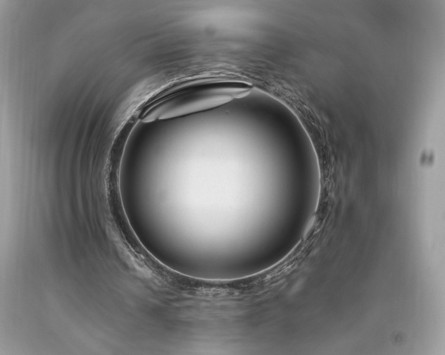 X0000094180242200710261137