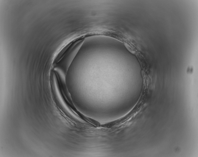 X0000094180244200710261137