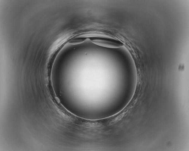 X0000094180245200710261137