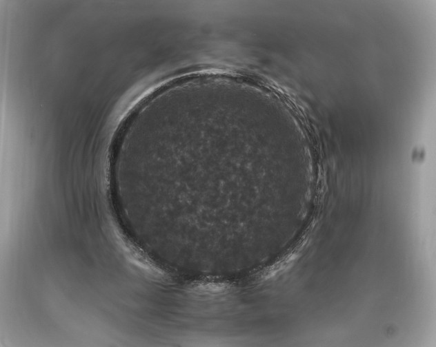 X0000094180247200710261137