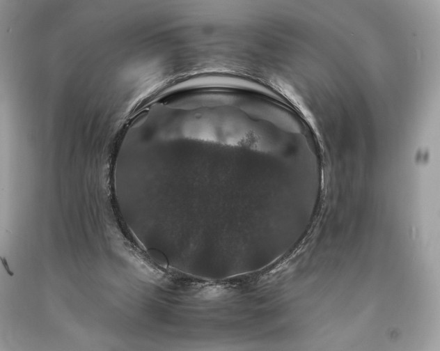 X0000094180249200710261137