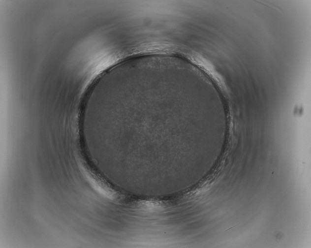 X0000094180250200710261137
