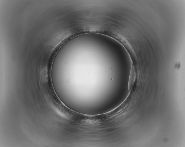 X0000094180251200710261137