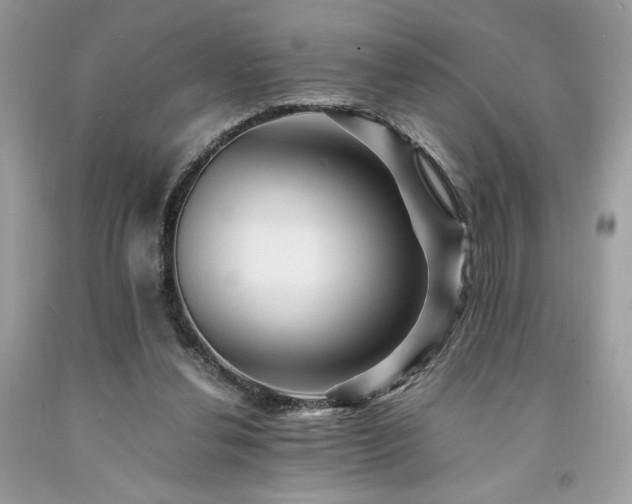 X0000094180252200710261138