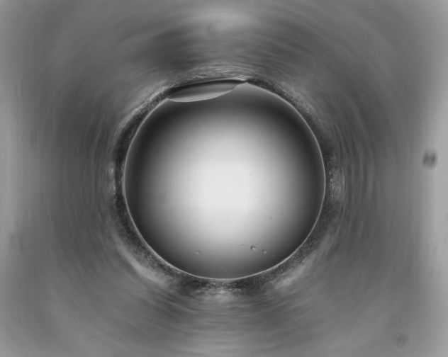 X0000094180254200710261138