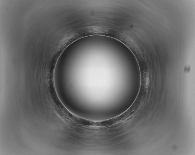 X0000094180255200710261138