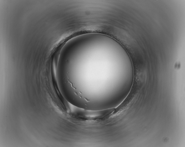 X0000094180256200710261138
