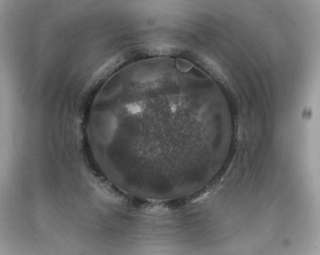 X0000094180258200710261138