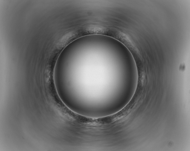 X0000094180259200710261138