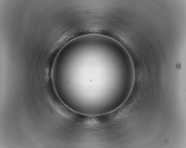 X0000094180262200710261138