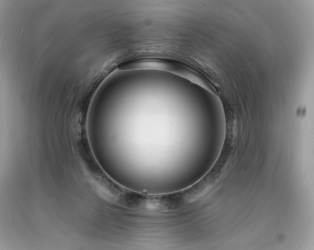 X0000094180264200710261138