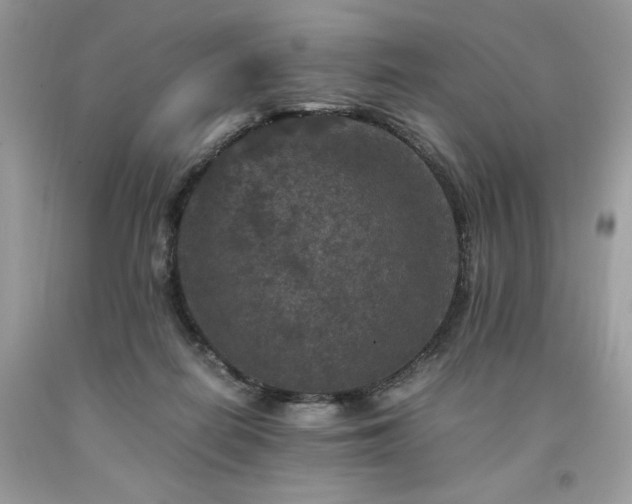 X0000094180266200710261138