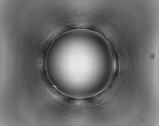 X0000094180268200710261138