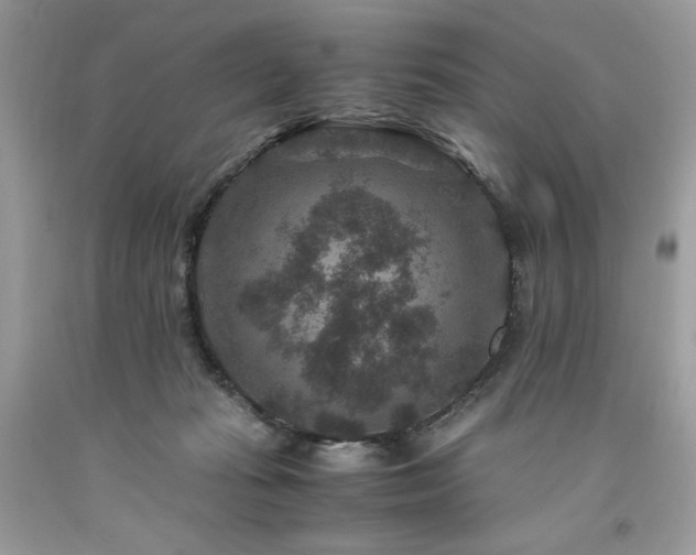 X0000094180269200710261138