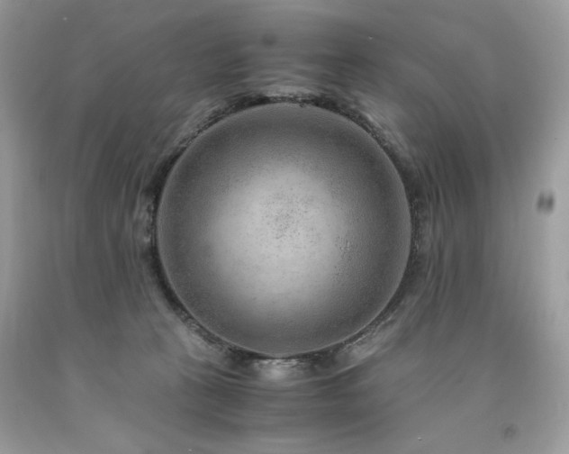 X0000094180273200710261138