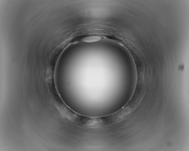 X0000094180274200710261138