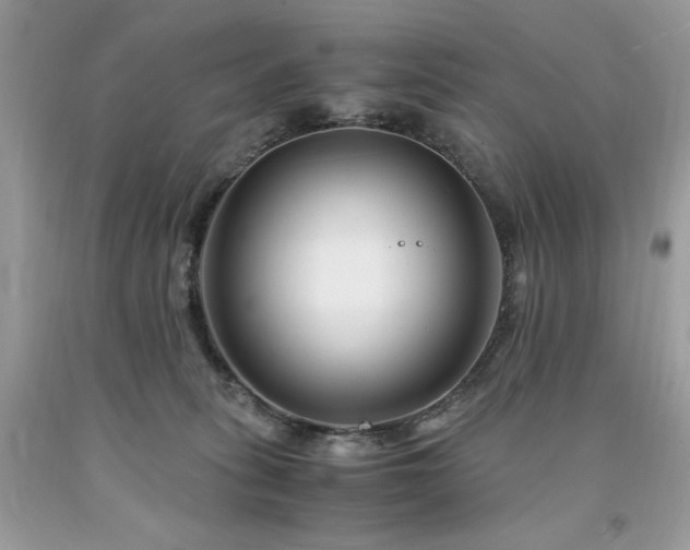 X0000094180275200710261138