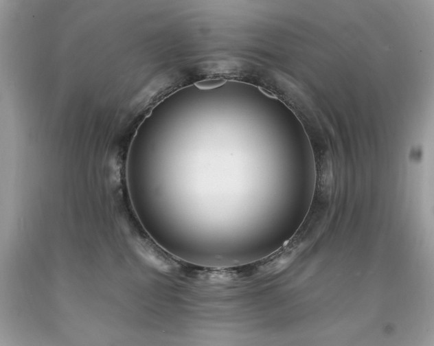 X0000094180282200710261138