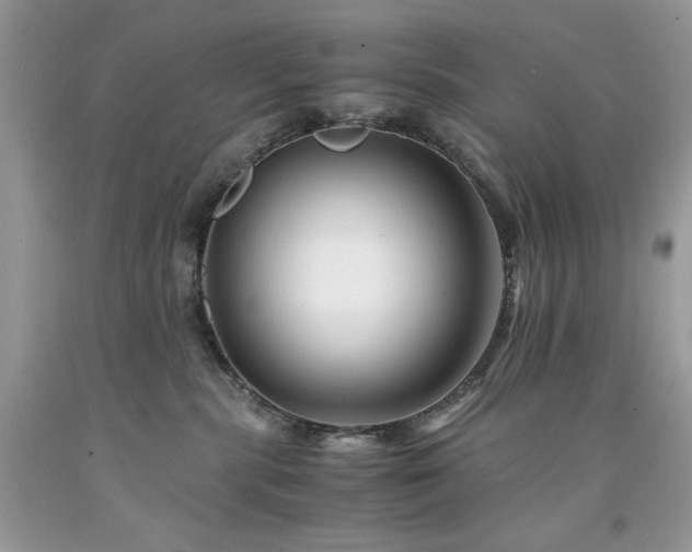 X0000094180283200710261138