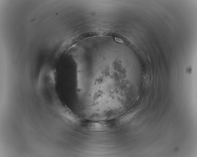 X0000094180286200710261138
