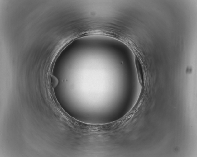 X0000094180289200710261137
