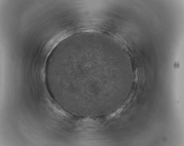 X0000094180290200710261137