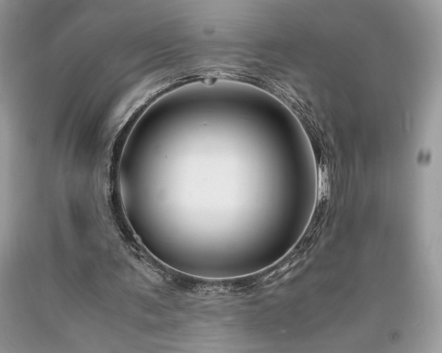 X0000094180291200710261137