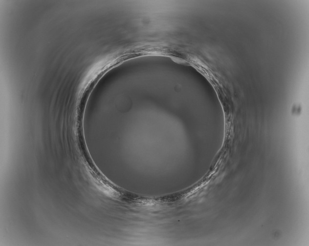 X0000094180293200710261137