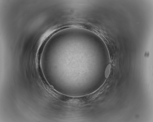 X0000094180294200710261137