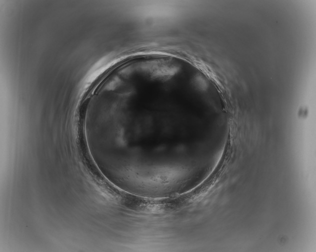 X0000094180295200710261137