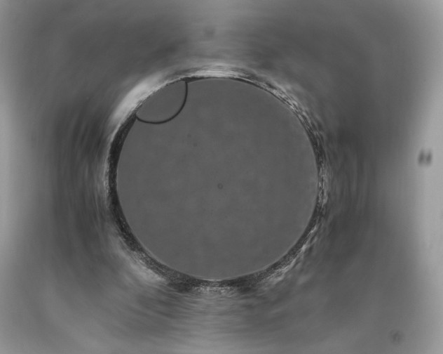 X0000094180296200710261137
