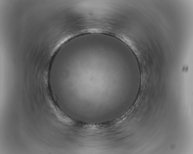 X0000094180297200710261137