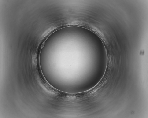 X0000094180298200710261137
