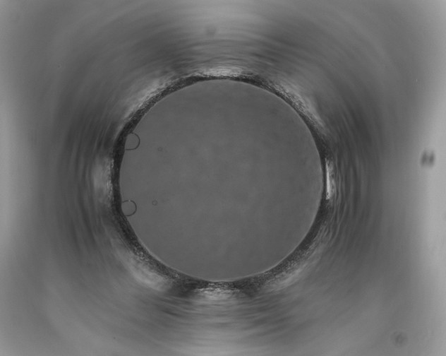 X0000094180300200710261137