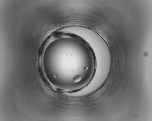 X0000094180301200710261137