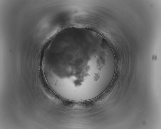 X0000094180303200710261137